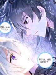 深入了解 红桃影视官网入口